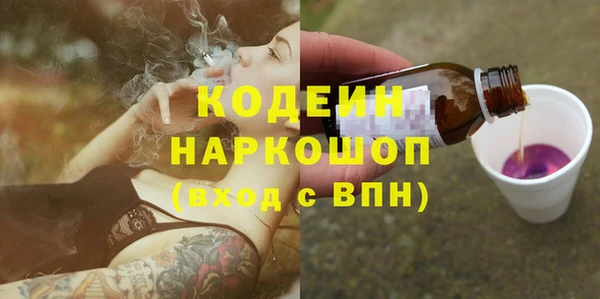 хмурый Алзамай