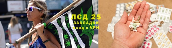 хмурый Алзамай