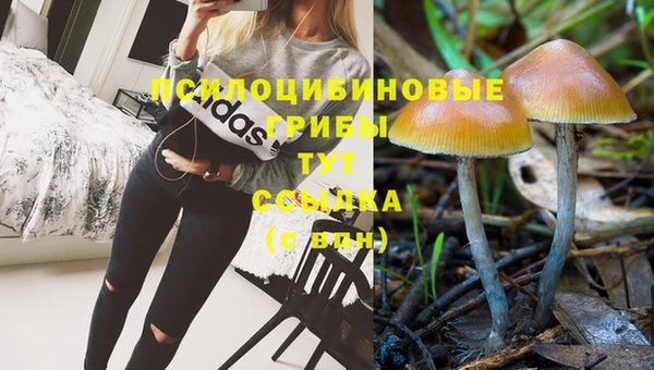 хмурый Алзамай