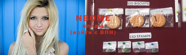 хмурый Алзамай